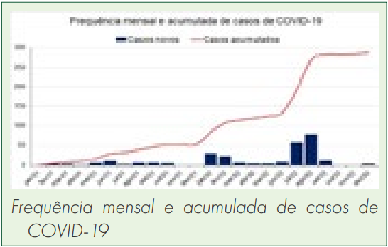 Frequência mensal e acumulada de casos de COVID-19